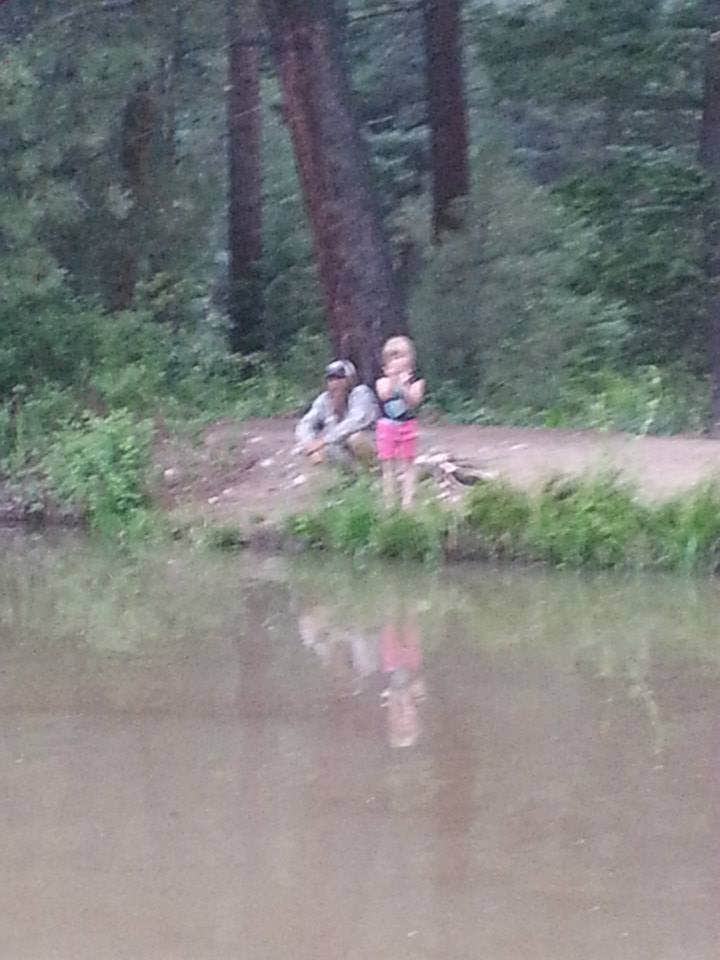 Camper-submitted photo at Tolby Campground — Cimarron Canyon State Park near Ranchos de Taos, NM