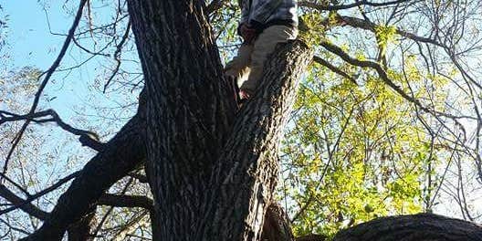 Camper submitted image from Indian Point City Campground