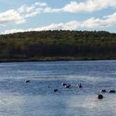 Review photo of Indian Point City Campground by Jordan L., July 31, 2017