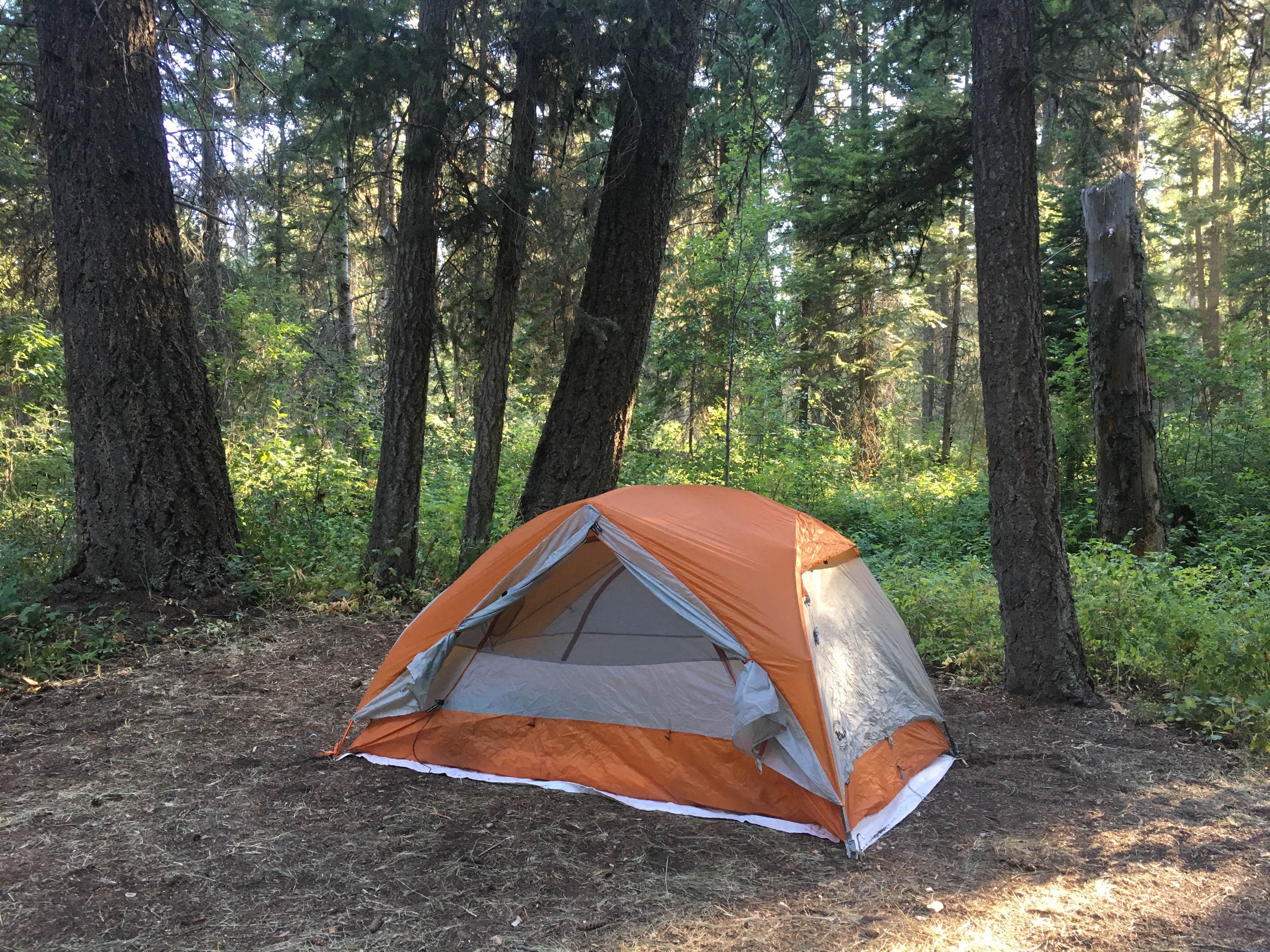 Camper submitted image from Quartz Creek Campground — Glacier National Park - 5