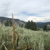 Review photo of Mammoth Campground — Yellowstone National Park by Lili H., July 31, 2017