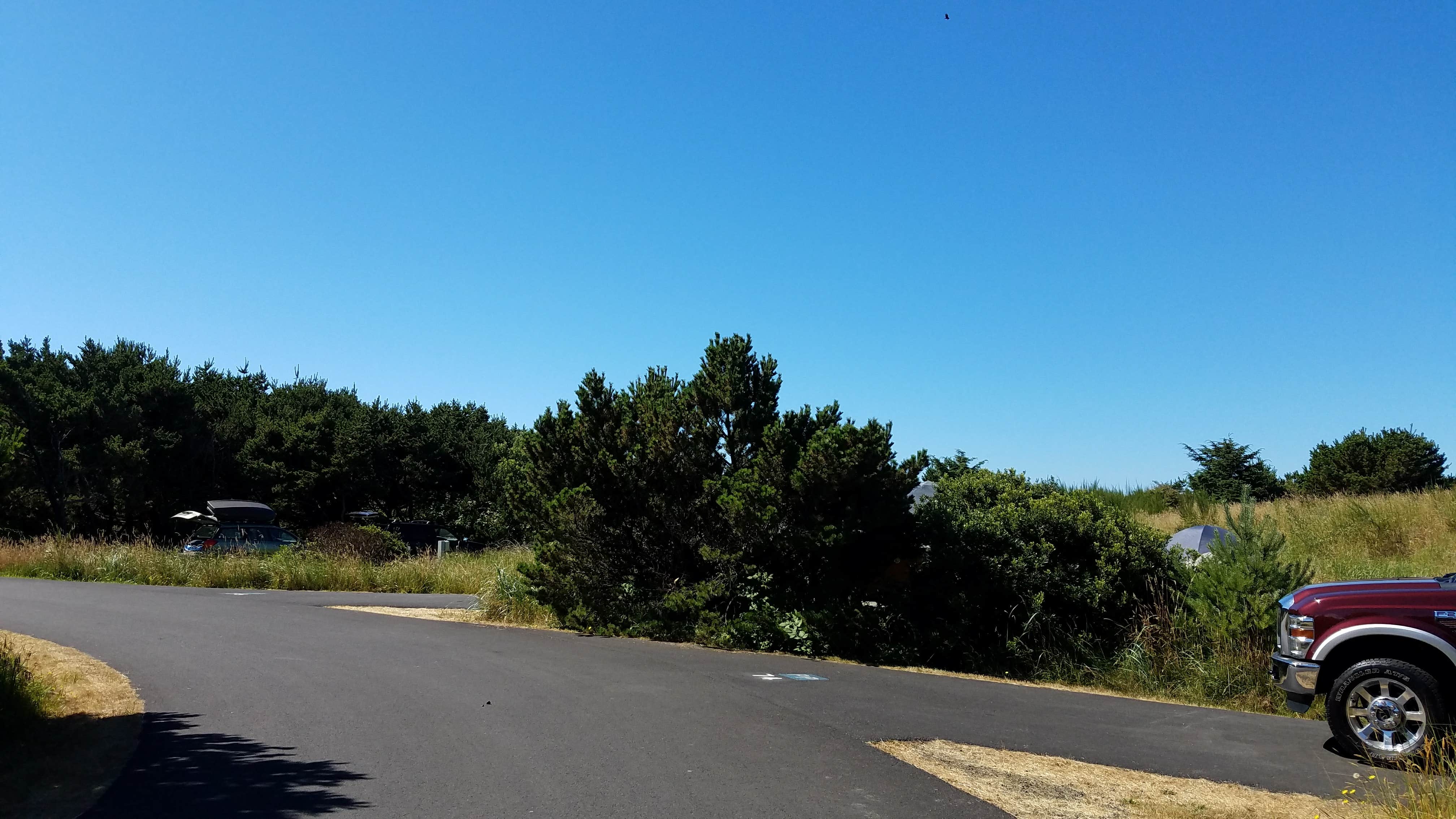 Camper submitted image from Grayland Beach State Park Campground - 1
