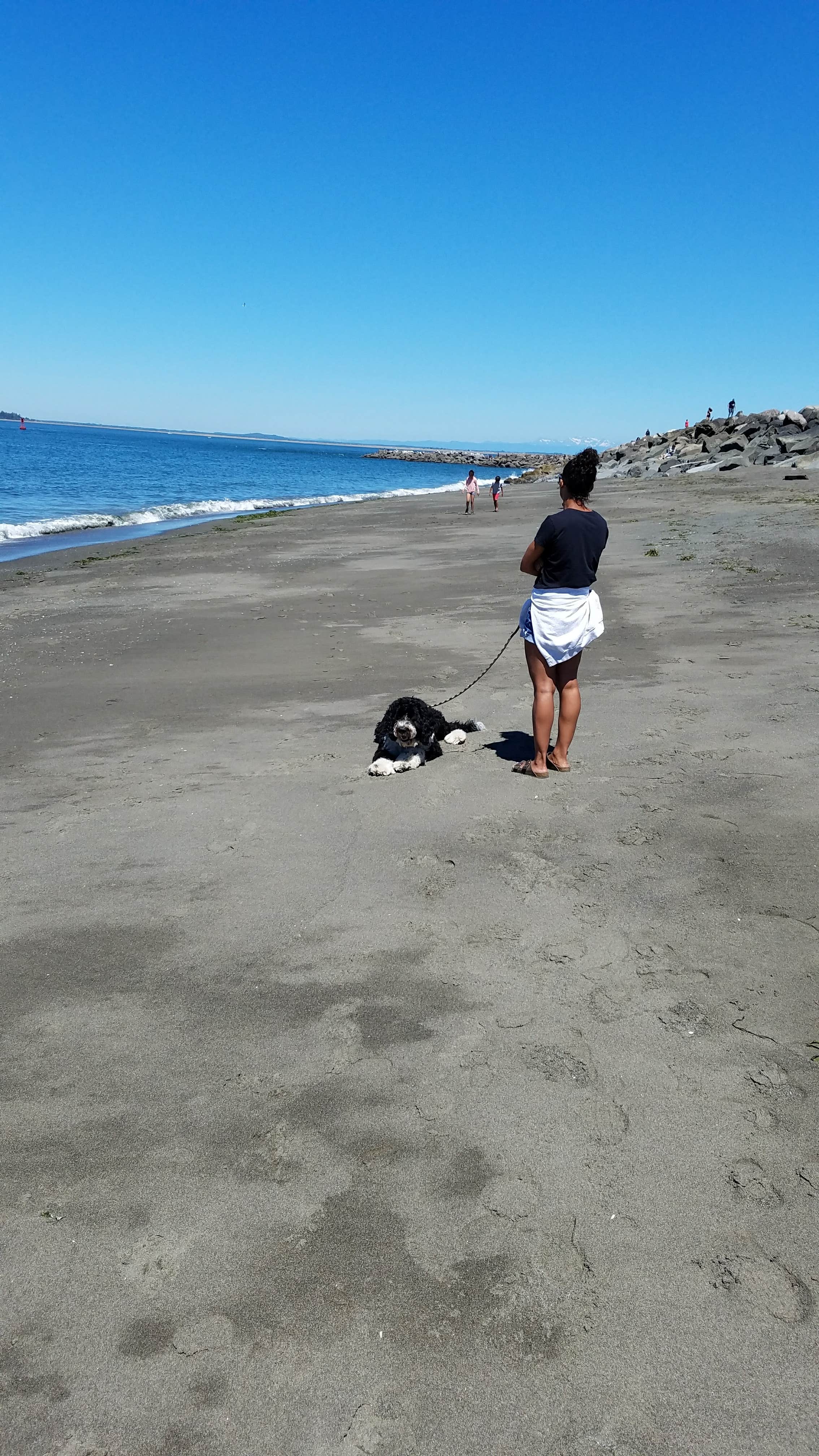 Camper-submitted photo at Grayland Beach State Park Campground near Aberdeen, WA