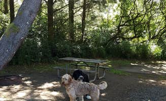 Josh W.'s photo of camping with pets at Grayland Beach State Park Campground near Ocean Shores, WA