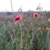 Review photo of Anastasia State Park Campground by Christy C., June 29, 2016