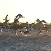 Review photo of Anastasia State Park Campground by Christy C., June 29, 2016