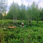 Review photo of Big Creek Campground (flathead National Forest, Mt) by Talia H., July 31, 2017