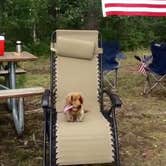 Review photo of Big Creek Campground (flathead National Forest, Mt) by Talia H., July 31, 2017