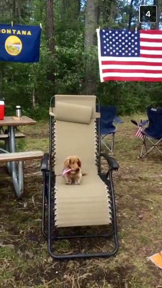 Camper submitted image from Big Creek Campground (flathead National Forest, Mt) - 3