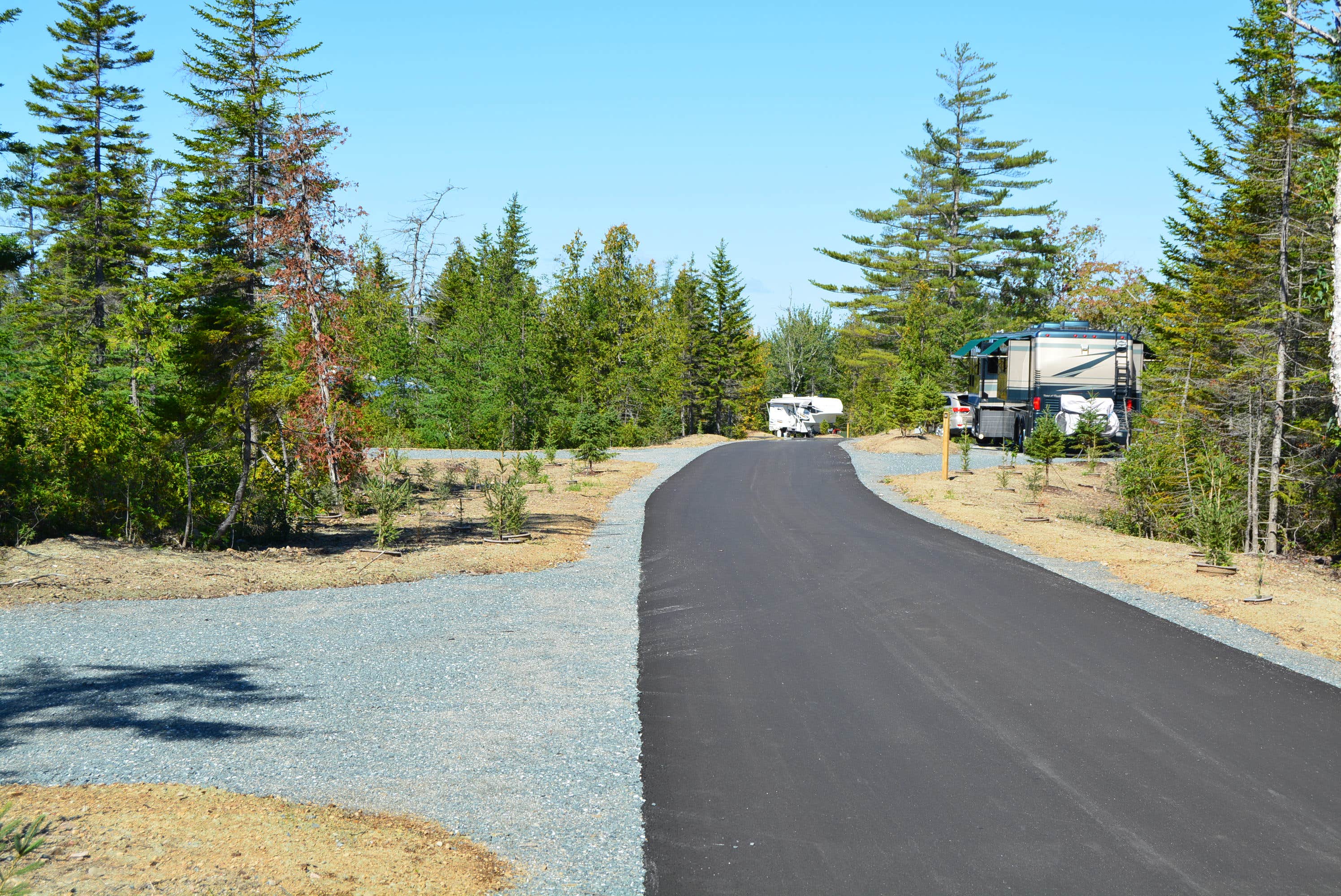 Camper submitted image from Schoodic Woods Campground — Acadia National Park - 4