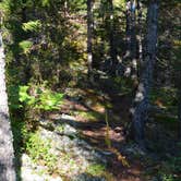 Review photo of Schoodic Woods Campground — Acadia National Park by Nancy W., July 31, 2017