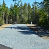 Review photo of Schoodic Woods Campground — Acadia National Park by Nancy W., July 31, 2017