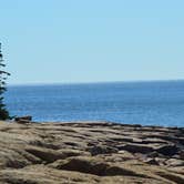 Review photo of Schoodic Woods Campground — Acadia National Park by Nancy W., July 31, 2017