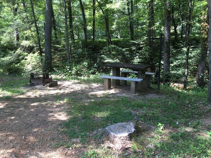 Camper submitted image from Otter Creek Campground — Blue Ridge Parkway - 5