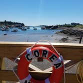 Review photo of Schoodic Woods Campground — Acadia National Park by Nancy W., July 31, 2017
