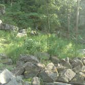 Review photo of Interstate State Park — Interstate State Park by Stephanie H., July 6, 2017