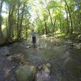 Review photo of Cades Cove Campground by Sarah C., July 31, 2017