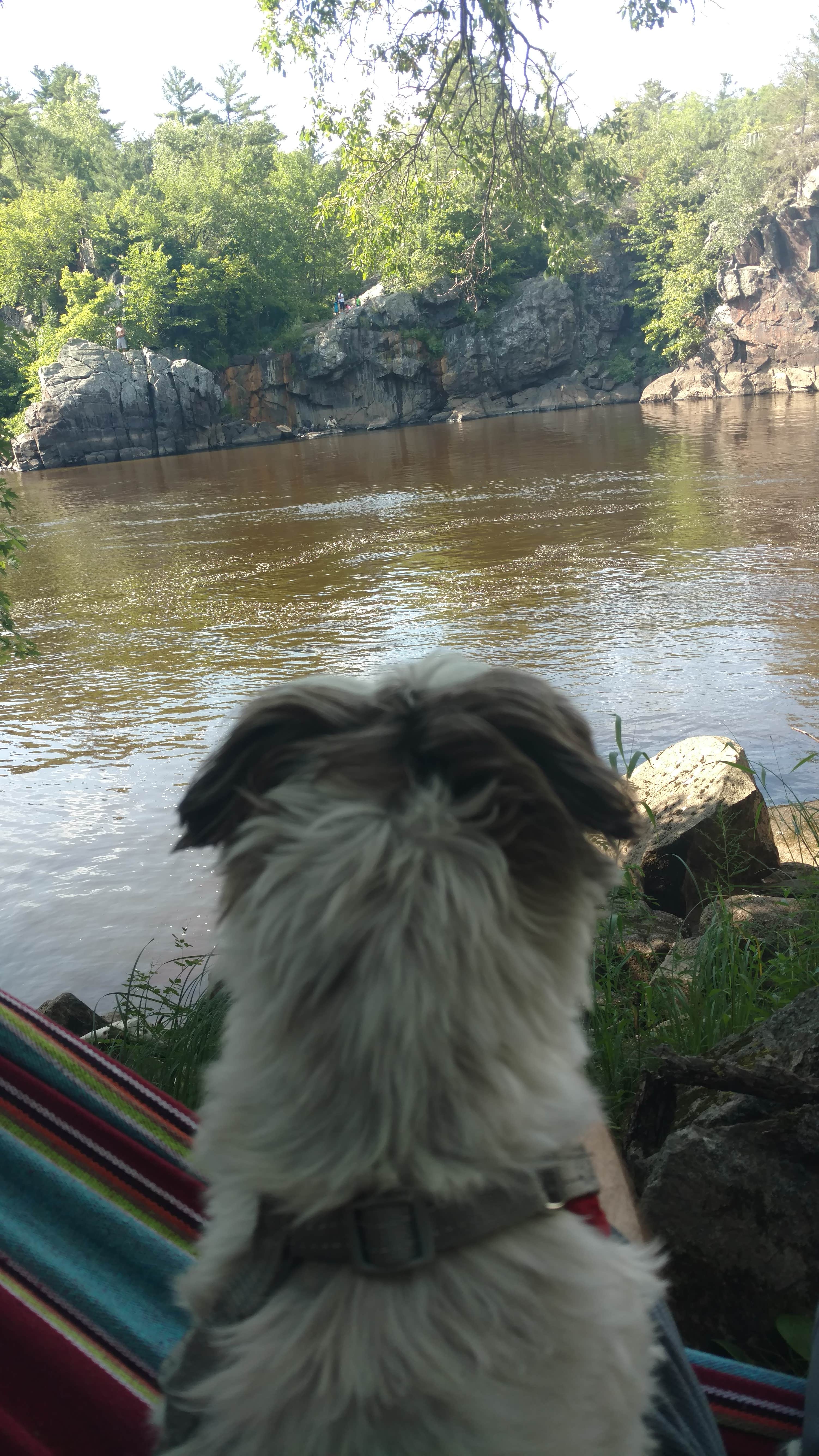 Stephanie H.'s photo of camping with pets at Interstate State Park — Interstate State Park near Marine on St. Croix, MN