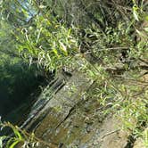 Review photo of Afton State Park Campground by Stephanie H., July 31, 2017