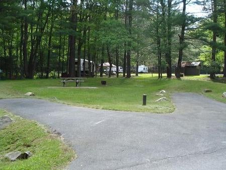 Camper submitted image from Raccoon Branch Campground - 3