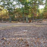 Review photo of Normandy Farms Campground by Nancy W., July 31, 2017