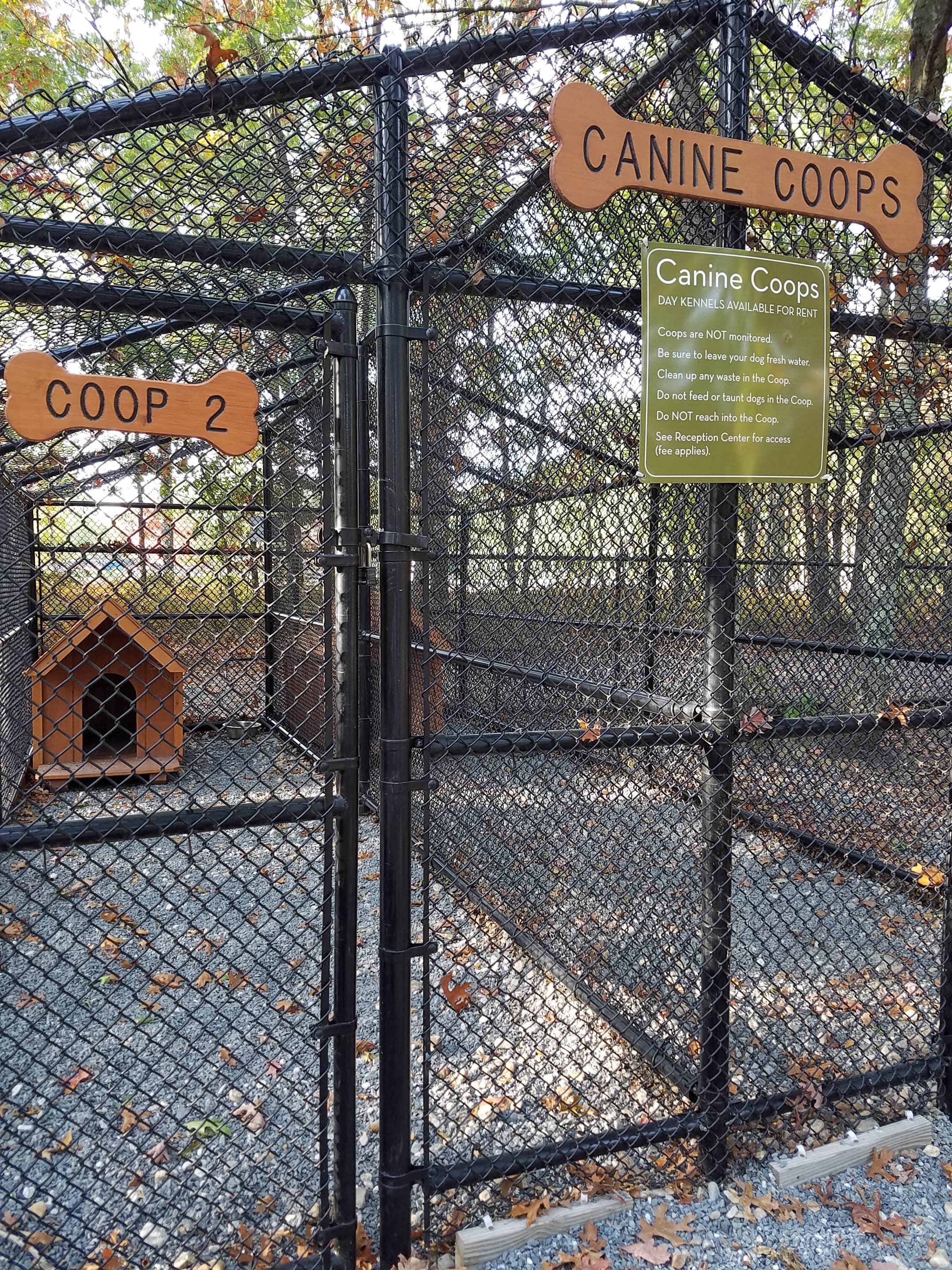 Camper submitted image from Normandy Farms Campground - 3