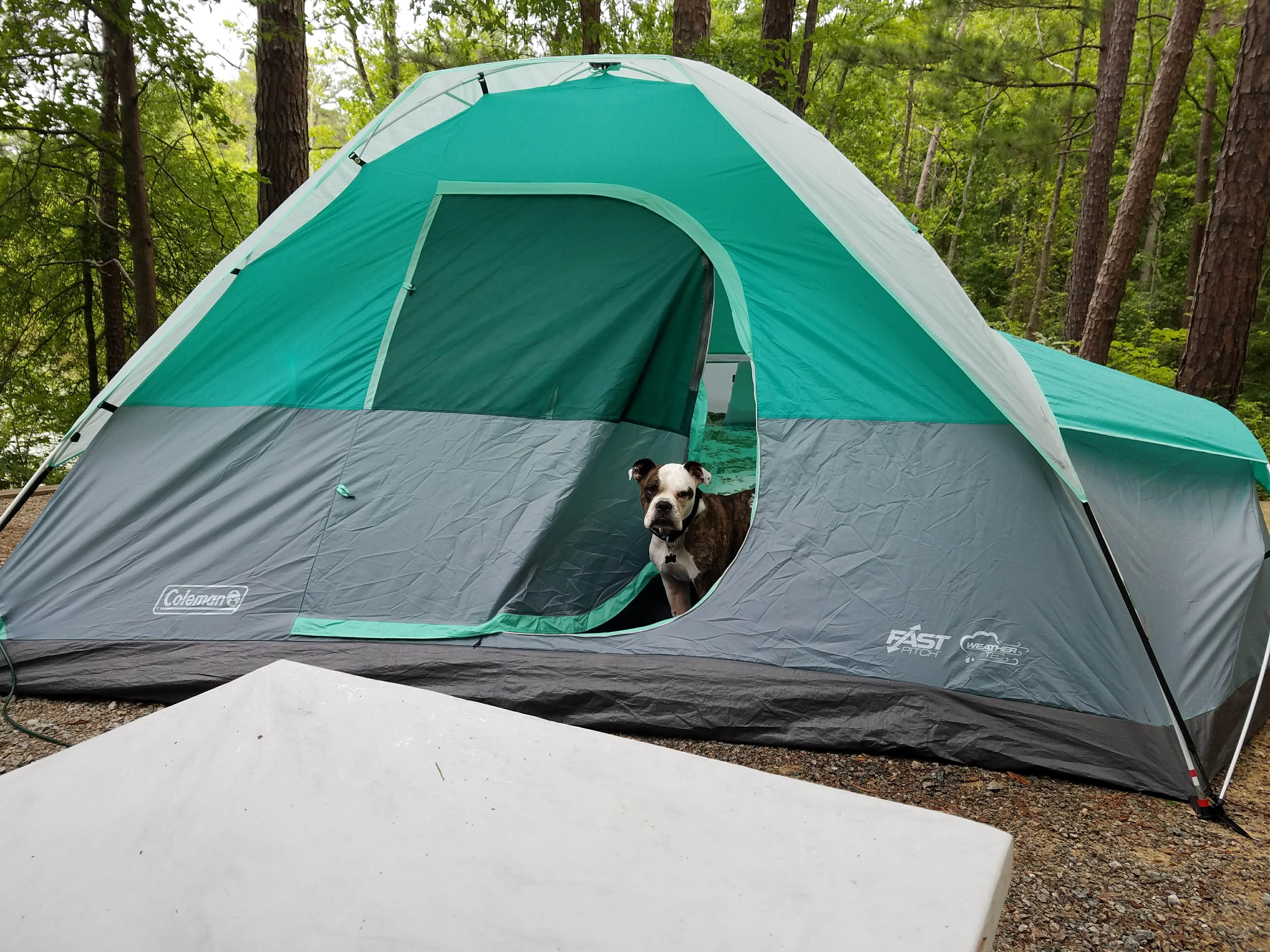 Camper submitted image from North Bend Park - 4