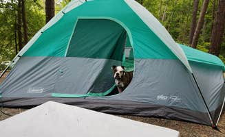 Daniel H.'s photo at North Bend Park near Clarksville, VA