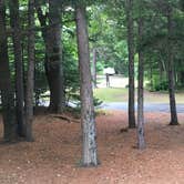 Review photo of Barnes Field Campground by Sarah C., July 31, 2017