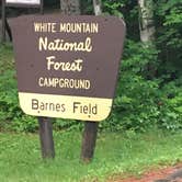 Review photo of Barnes Field Campground by Sarah C., July 31, 2017