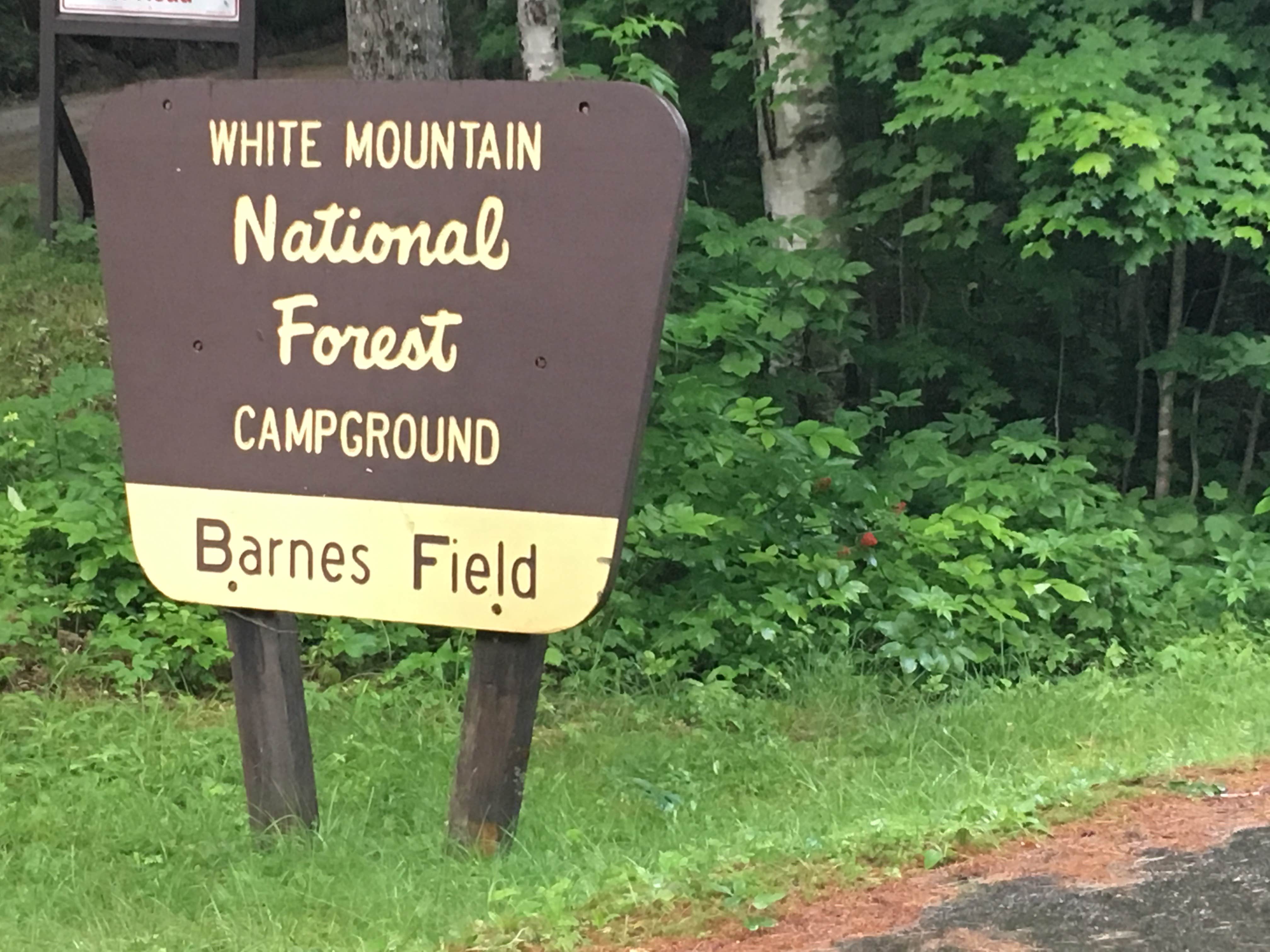 Camper submitted image from Barnes Field Campground - 2