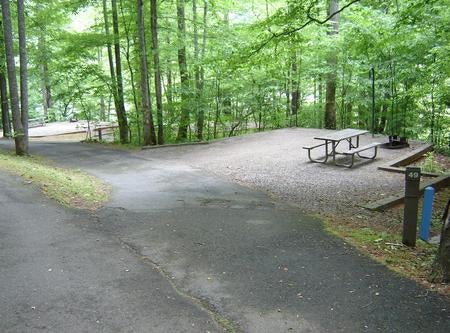 Camper submitted image from Salthouse Branch Campground - 2
