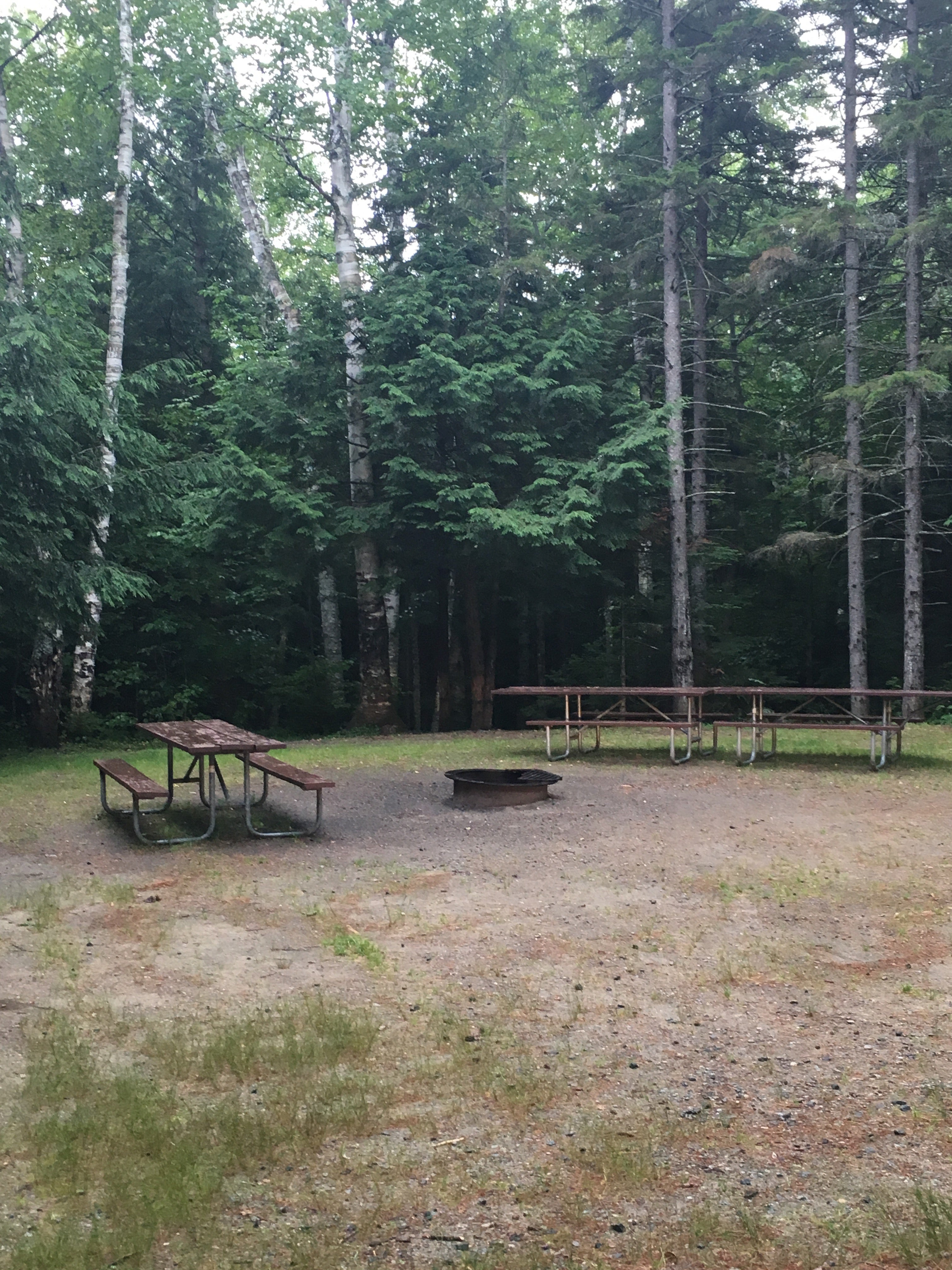 Camper submitted image from Barnes Field Campground - 1
