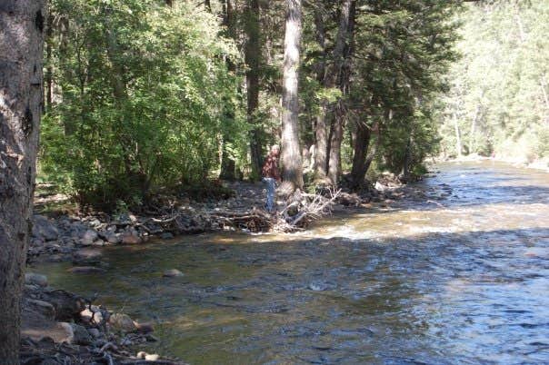 Camper submitted image from Field Tract Campground - 3
