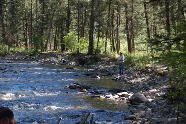 Camper submitted image from Field Tract Campground - 2