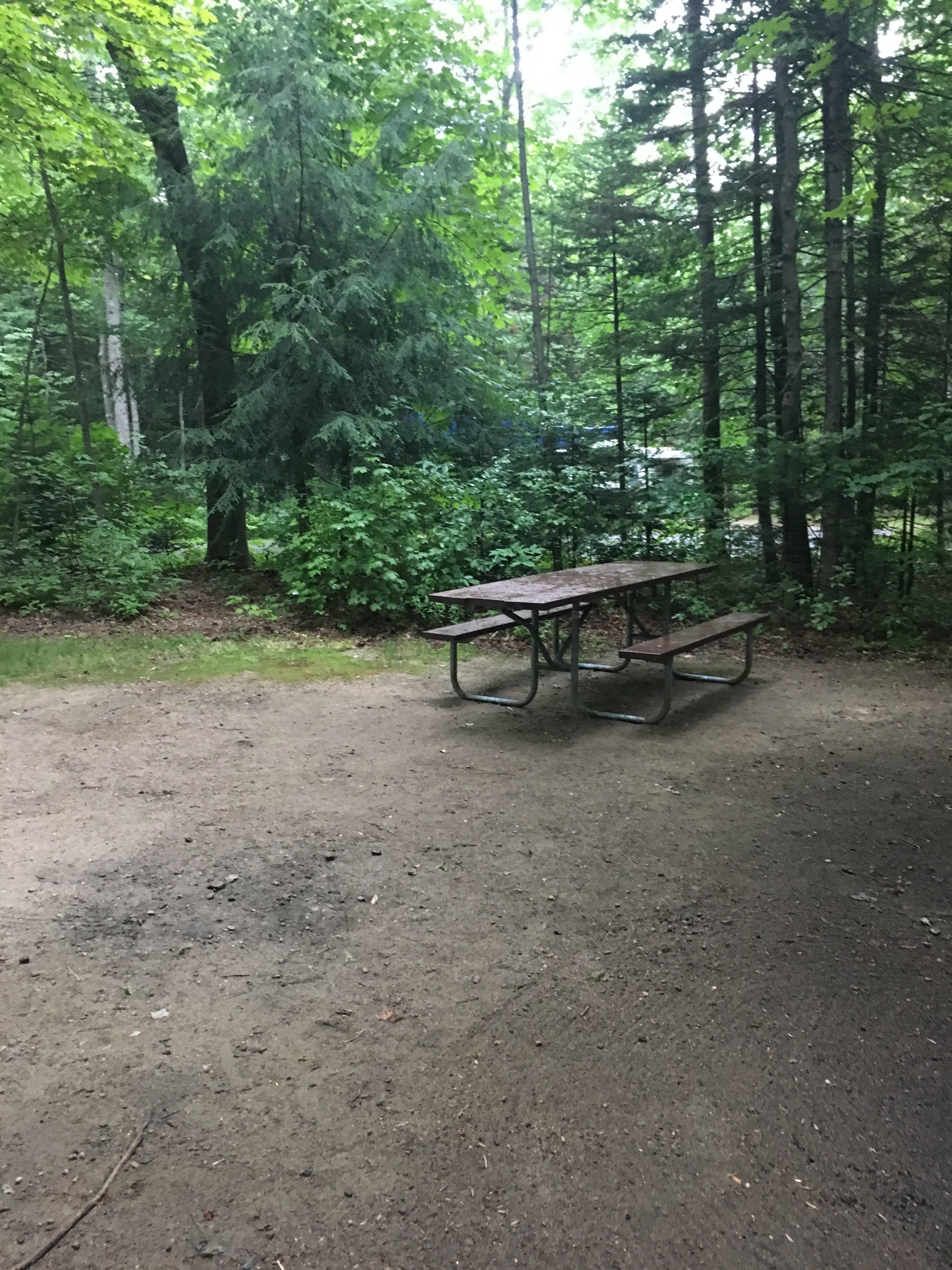Camper submitted image from Dolly Copp Campground - 3