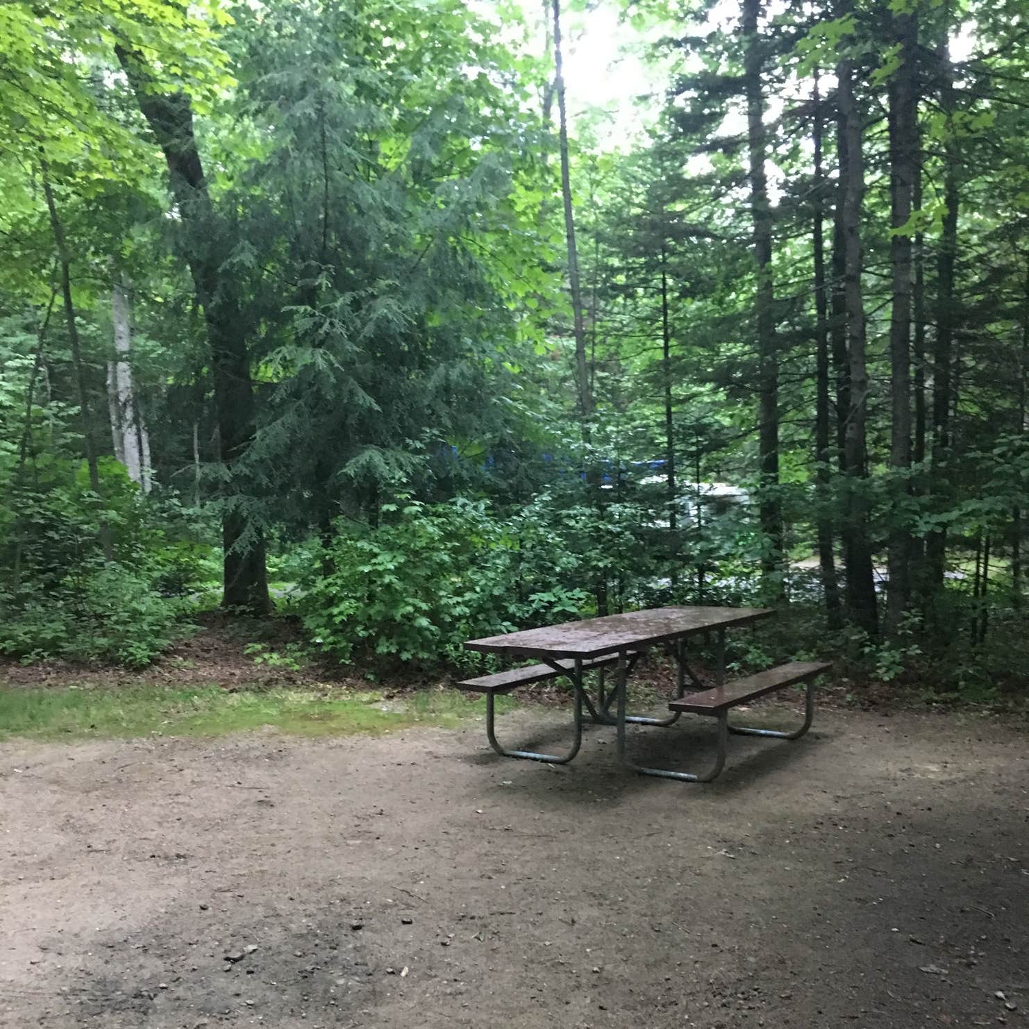 Dolly Copp Campground Camping The Dyrt