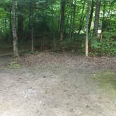 Review photo of Dolly Copp Campground by Sarah C., July 31, 2017