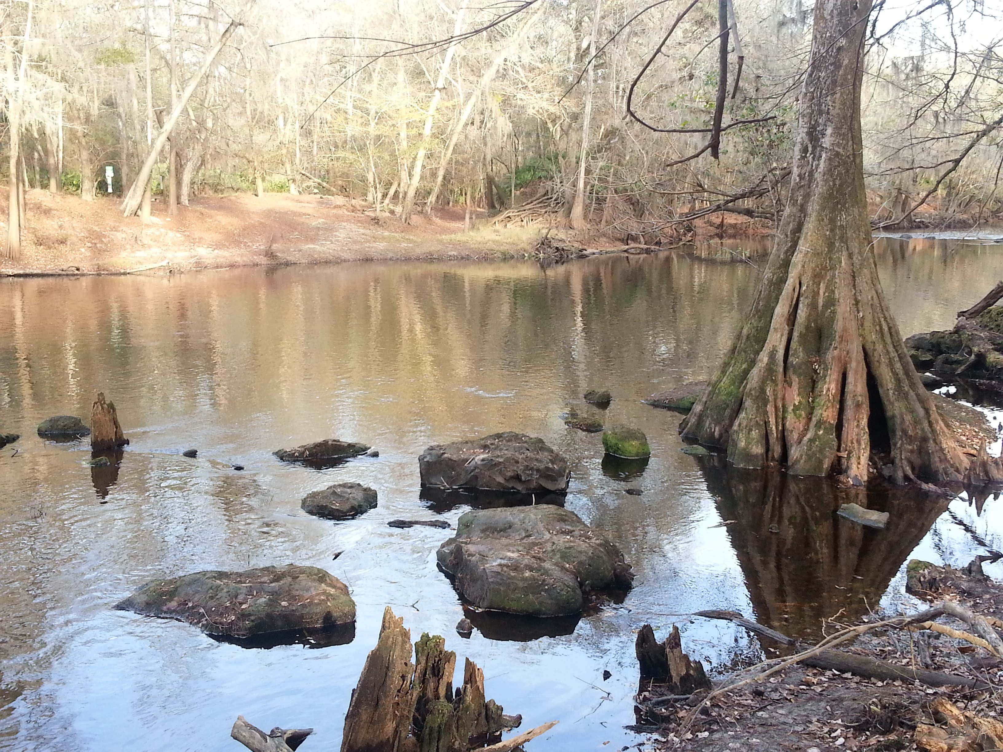 Camper submitted image from Dogwood Campground — O'Leno State Park - 4