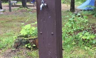 Sarah C.'s photo at Dolly Copp Campground near Randolph, NH