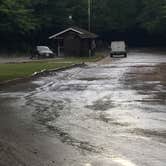 Review photo of Dolly Copp Campground by Sarah C., July 31, 2017