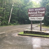 Review photo of Dolly Copp Campground by Sarah C., July 31, 2017