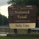 Review photo of Dolly Copp Campground by Sarah C., July 31, 2017