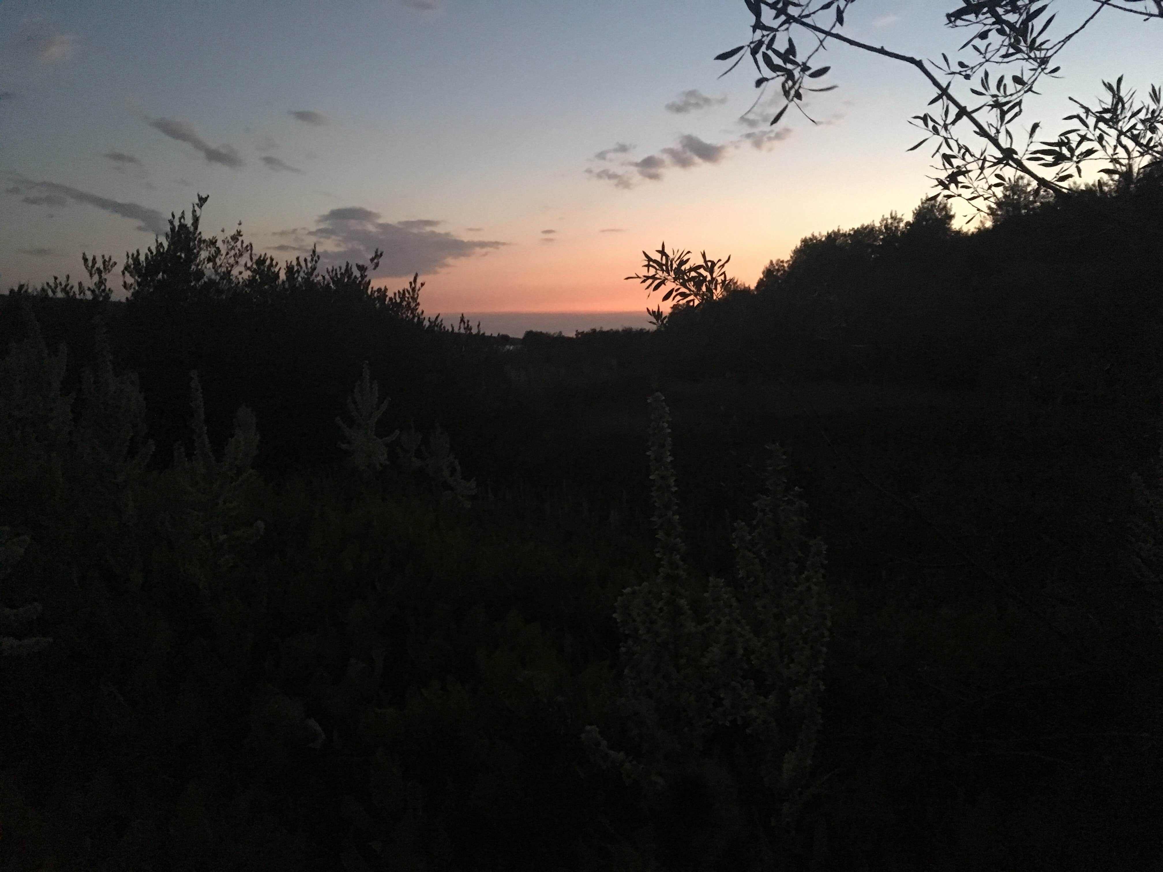 Camper submitted image from Fish Lake Campground - 2