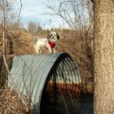 Review photo of Lake Elmo County Park Reserve by Stephanie H., July 6, 2017