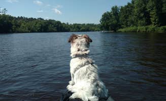 Stephanie H.'s photo of camping with pets at Boulder near St. Croix National Scenic Riverway