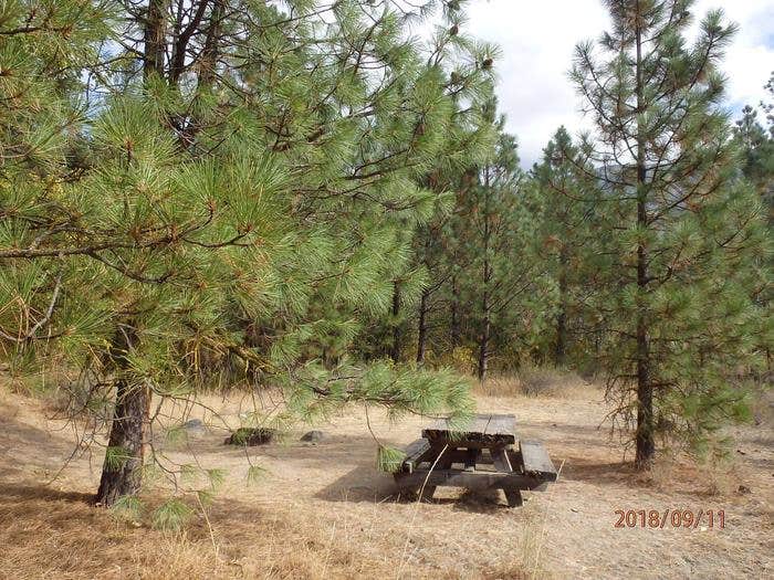 Camper submitted image from Hause Creek Campground - 3