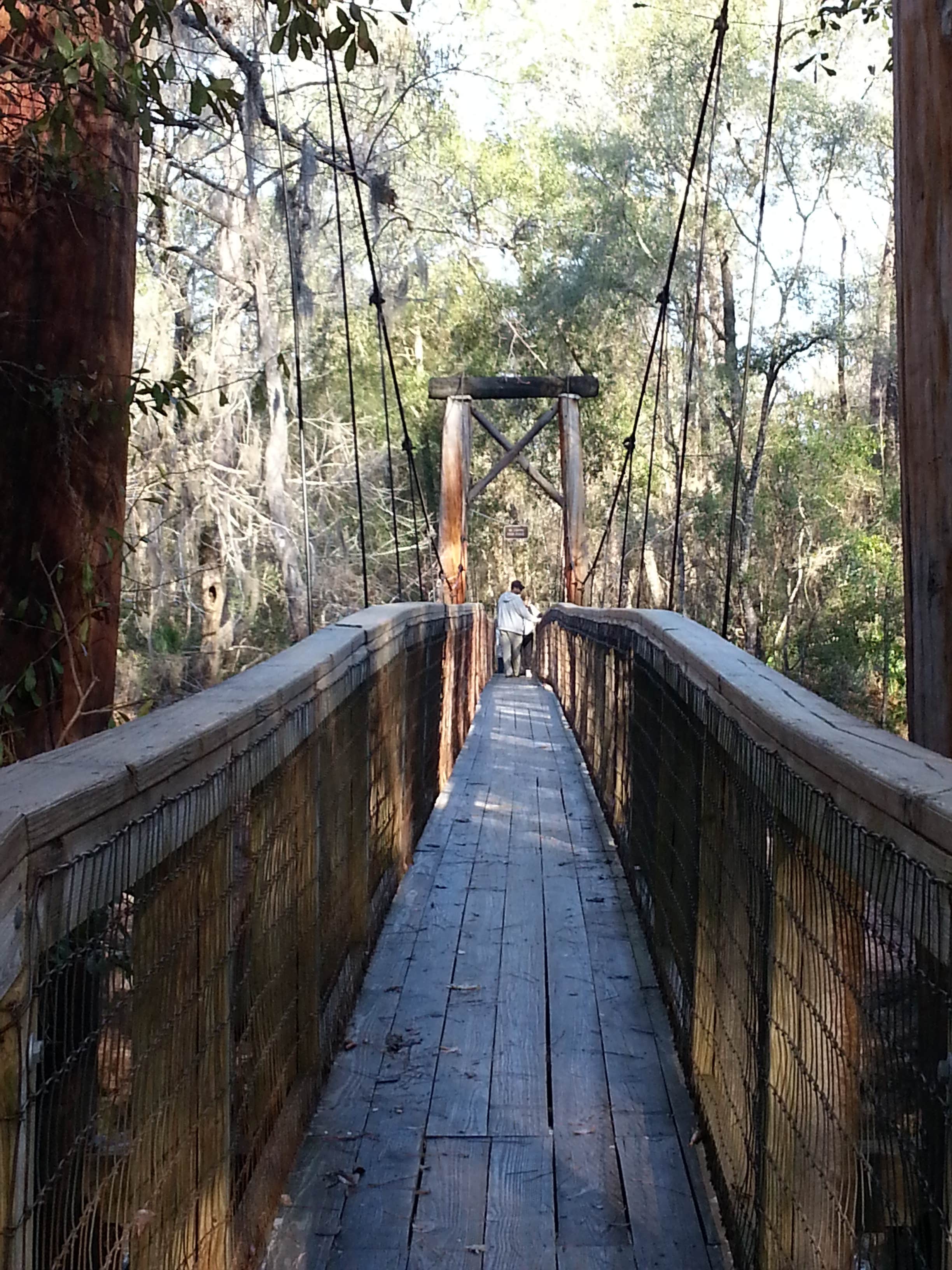 Camper submitted image from Dogwood Campground — O'Leno State Park - 5