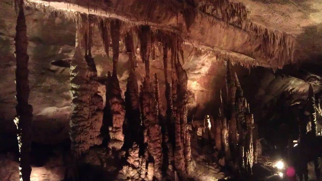 Camper-submitted photo at Dismals Canyon Cabins and Primitive Campsites near National Forests in Alabama