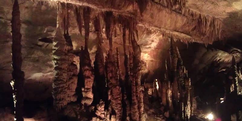 Camper submitted image from Dismals Canyon Cabins and Primitive Campsites